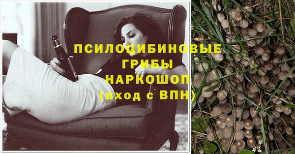 мет Елабуга