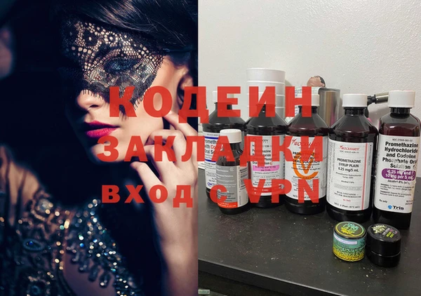 PSILOCYBIN Ельня