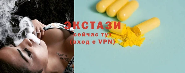 PSILOCYBIN Ельня
