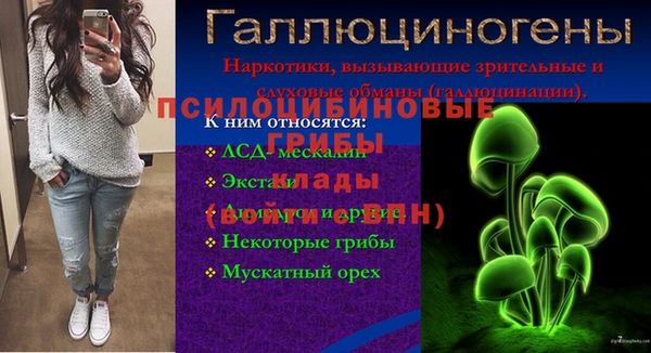 PSILOCYBIN Ельня