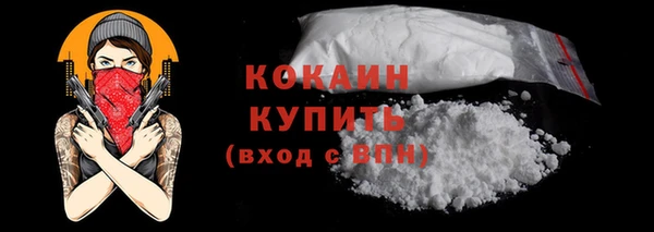 PSILOCYBIN Ельня
