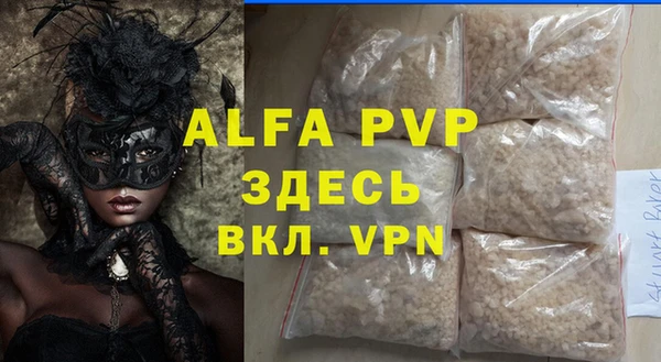 PSILOCYBIN Ельня
