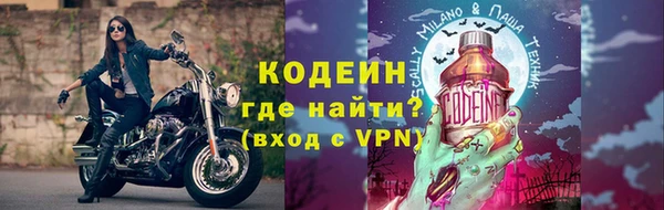PSILOCYBIN Ельня