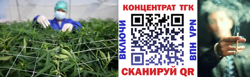 Купить где  Светлогорск  Дистиллят ТГК гашишное масло 