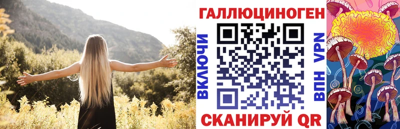Купить закладки  Светлогорск  Псилоцибиновые грибы Cubensis 