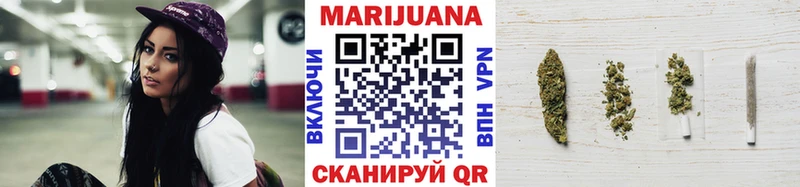 Купить где  Светлогорск  Конопля ГИДРОПОН 
